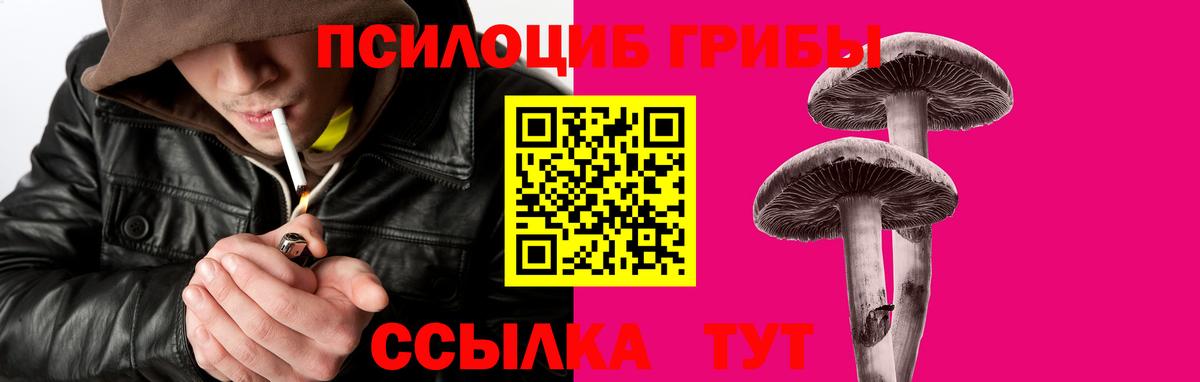 Ливны  Галлюциногенные грибы Psilocybine cubensis  Вход с VPN 
